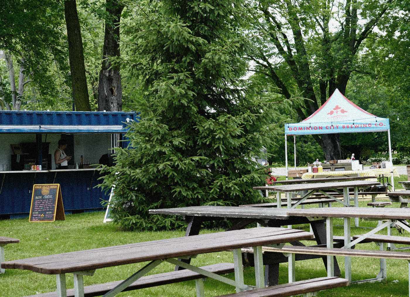Tables à pique-nique sur l’herbe sous les arbres à la Buvette du Lac, lac Dow